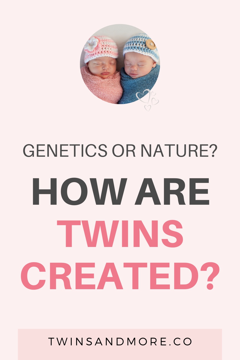 How are Twins Made - Genetics or Nature?