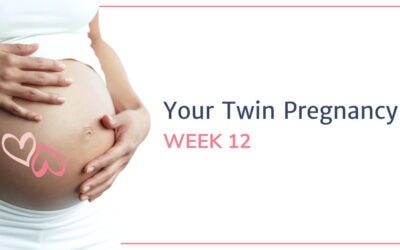 12 Weeks Pregnant with Twins