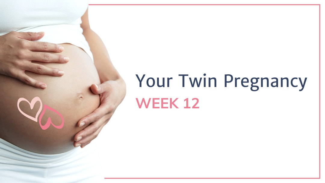 12 weeks pregnant with twins - Twins & More