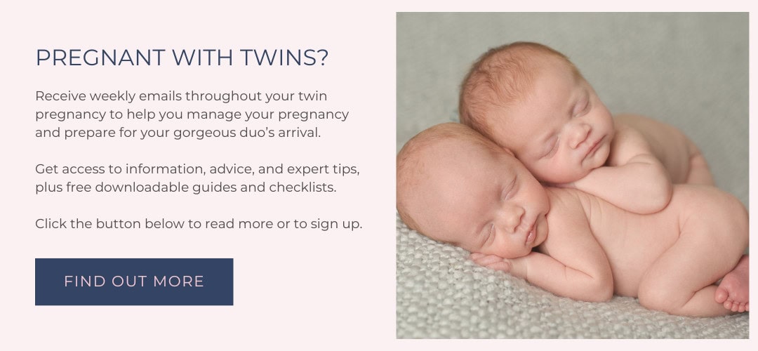 Pregnant with Twins Promo Box